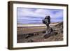 The USA, California, Death Valley National Park, Hoodoo in the Bad Water Road close Golden canyon-Udo Siebig-Framed Photographic Print