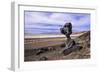 The USA, California, Death Valley National Park, Hoodoo in the Bad Water Road close Golden canyon-Udo Siebig-Framed Photographic Print