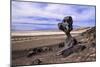 The USA, California, Death Valley National Park, Hoodoo in the Bad Water Road close Golden canyon-Udo Siebig-Mounted Photographic Print