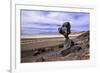 The USA, California, Death Valley National Park, Hoodoo in the Bad Water Road close Golden canyon-Udo Siebig-Framed Photographic Print