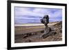 The USA, California, Death Valley National Park, Hoodoo in the Bad Water Road close Golden canyon-Udo Siebig-Framed Photographic Print