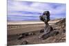 The USA, California, Death Valley National Park, Hoodoo in the Bad Water Road close Golden canyon-Udo Siebig-Mounted Photographic Print