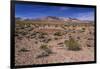 The USA, California, Death Valley National Park, scenery on the Dantes View Road-Udo Siebig-Framed Photographic Print