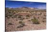 The USA, California, Death Valley National Park, scenery on the Dantes View Road-Udo Siebig-Stretched Canvas