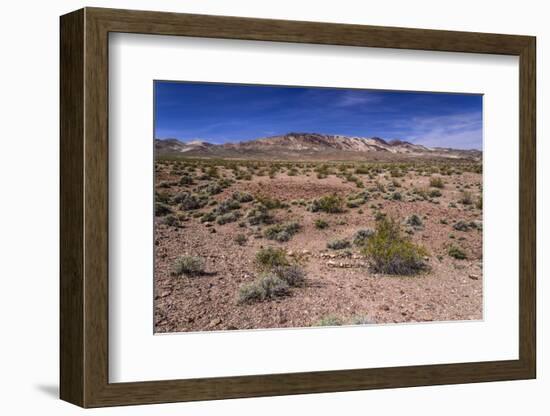 The USA, California, Death Valley National Park, scenery on the Dantes View Road-Udo Siebig-Framed Photographic Print