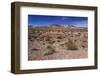 The USA, California, Death Valley National Park, scenery on the Dantes View Road-Udo Siebig-Framed Photographic Print