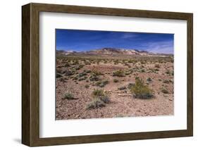 The USA, California, Death Valley National Park, scenery on the Dantes View Road-Udo Siebig-Framed Photographic Print