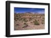 The USA, California, Death Valley National Park, scenery on the Dantes View Road-Udo Siebig-Framed Photographic Print