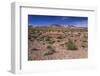 The USA, California, Death Valley National Park, scenery on the Dantes View Road-Udo Siebig-Framed Photographic Print