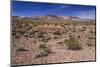 The USA, California, Death Valley National Park, scenery on the Dantes View Road-Udo Siebig-Mounted Photographic Print