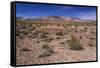 The USA, California, Death Valley National Park, scenery on the Dantes View Road-Udo Siebig-Framed Stretched Canvas