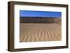 The USA, California, Death Valley National Park, Stovepipe Wells, Mesquite Flat Sand Dunes-Udo Siebig-Framed Photographic Print