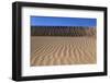 The USA, California, Death Valley National Park, Stovepipe Wells, Mesquite Flat Sand Dunes-Udo Siebig-Framed Photographic Print