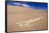 The USA, California, Death Valley National Park, Stovepipe Wells, Mesquite Flat Sand Dunes-Udo Siebig-Framed Stretched Canvas