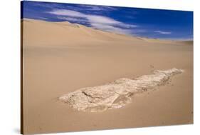 The USA, California, Death Valley National Park, Stovepipe Wells, Mesquite Flat Sand Dunes-Udo Siebig-Stretched Canvas