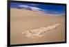 The USA, California, Death Valley National Park, Stovepipe Wells, Mesquite Flat Sand Dunes-Udo Siebig-Framed Photographic Print