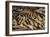 The USA, California, Death Valley National Park, Zabriskie Point, badlands-Udo Siebig-Framed Photographic Print