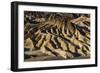 The USA, California, Death Valley National Park, Zabriskie Point, badlands-Udo Siebig-Framed Photographic Print