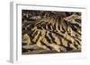 The USA, California, Death Valley National Park, Zabriskie Point, badlands-Udo Siebig-Framed Photographic Print