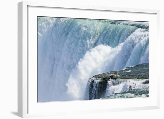 The USA, New York State, Niagara Falls, Close-Up-Rainer Mirau-Framed Photographic Print