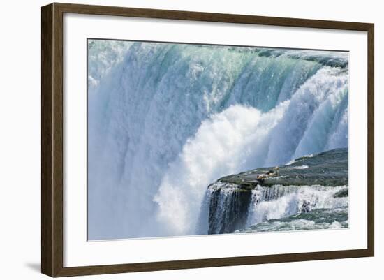 The USA, New York State, Niagara Falls, Close-Up-Rainer Mirau-Framed Photographic Print