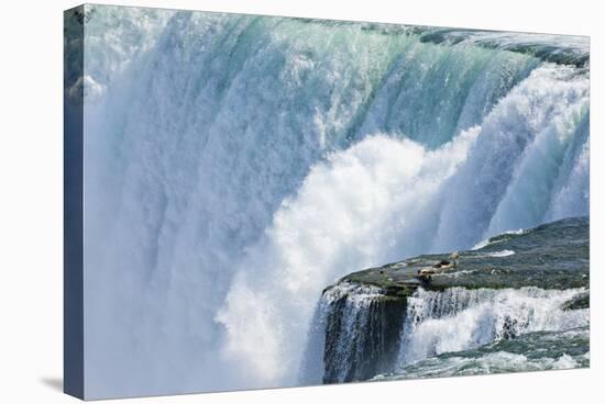 The USA, New York State, Niagara Falls, Close-Up-Rainer Mirau-Stretched Canvas