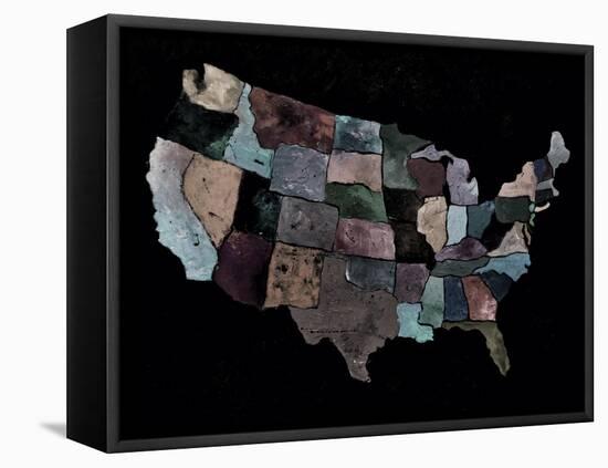 The Usa-Pol Ledent-Framed Stretched Canvas