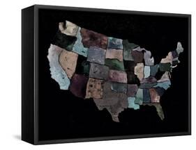 The Usa-Pol Ledent-Framed Stretched Canvas