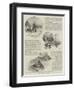 The Use of Dogs in War-null-Framed Giclee Print