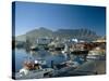 The V & A Waterfront and Table Mountain Cape Town, Cape Province, South Africa-Fraser Hall-Stretched Canvas