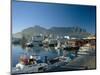 The V & A Waterfront and Table Mountain Cape Town, Cape Province, South Africa-Fraser Hall-Mounted Photographic Print