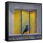 The Vain Jackdaw-Tim Hayward-Framed Stretched Canvas