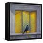 The Vain Jackdaw-Tim Hayward-Framed Stretched Canvas