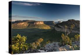 The Vale Do Pati Seen from Pai Inacio Mountain-Alex Saberi-Stretched Canvas