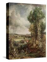 The Vale of Dedham, 1828-John Constable-Stretched Canvas