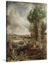 The Vale of Dedham, 1828-John Constable-Stretched Canvas