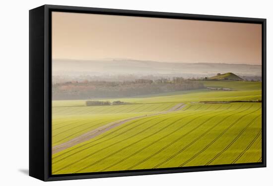 The Vale of Pewsey at First Light, Wiltshire, England, United Kingdom, Europe-Julian Elliott-Framed Stretched Canvas