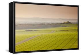 The Vale of Pewsey at First Light, Wiltshire, England, United Kingdom, Europe-Julian Elliott-Framed Stretched Canvas