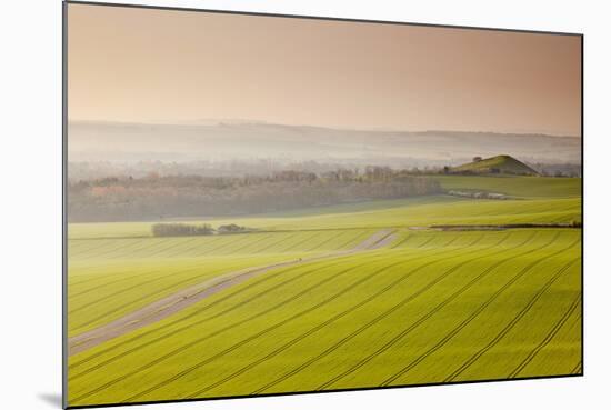 The Vale of Pewsey at First Light, Wiltshire, England, United Kingdom, Europe-Julian Elliott-Mounted Photographic Print