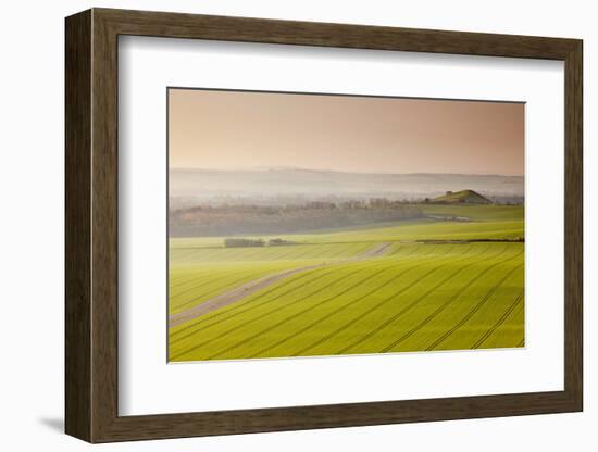 The Vale of Pewsey at First Light, Wiltshire, England, United Kingdom, Europe-Julian Elliott-Framed Photographic Print