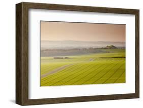 The Vale of Pewsey at First Light, Wiltshire, England, United Kingdom, Europe-Julian Elliott-Framed Photographic Print