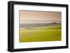 The Vale of Pewsey at First Light, Wiltshire, England, United Kingdom, Europe-Julian Elliott-Framed Photographic Print