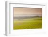 The Vale of Pewsey at First Light, Wiltshire, England, United Kingdom, Europe-Julian Elliott-Framed Photographic Print