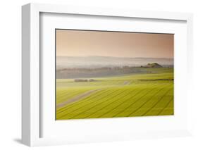 The Vale of Pewsey at First Light, Wiltshire, England, United Kingdom, Europe-Julian Elliott-Framed Photographic Print