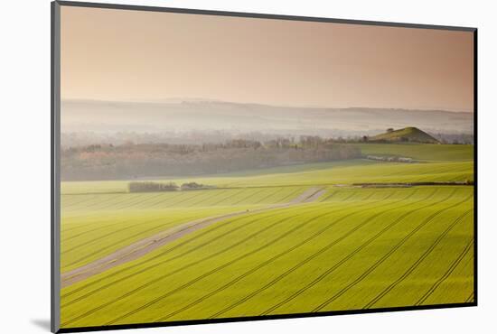 The Vale of Pewsey at First Light, Wiltshire, England, United Kingdom, Europe-Julian Elliott-Mounted Photographic Print