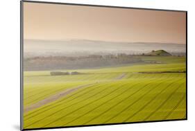 The Vale of Pewsey at First Light, Wiltshire, England, United Kingdom, Europe-Julian Elliott-Mounted Photographic Print