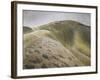 The Vale of the White Horse-Eric Ravilious-Framed Giclee Print