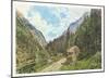 The Valley Anlauftal near Gastein, Salzburg-Rudolph von Alt-Mounted Collectable Print