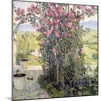 The Valley in Umbria, 1910s-Aleksandr Golovin-Mounted Giclee Print