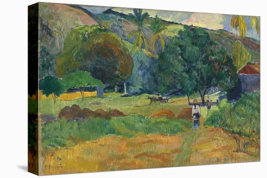 The Valley (Le Vallo), 1892-Paul Gauguin-Stretched Canvas